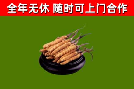 黄平回收冬虫夏草
