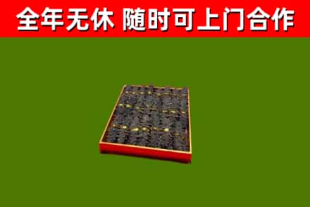 黄平回收海参